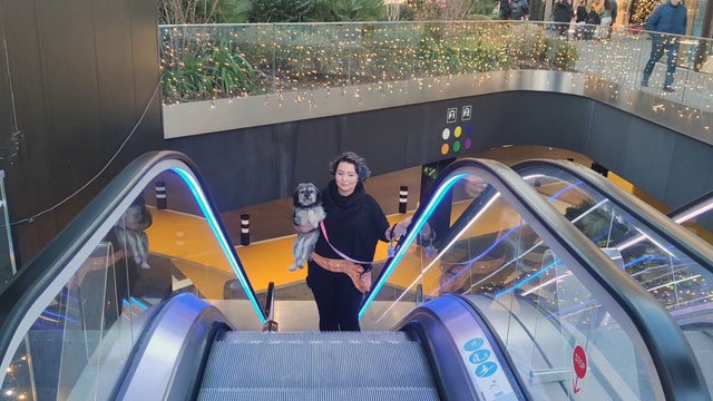 A person carrying a dog on an escalator