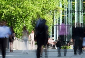 Street view with people and tree