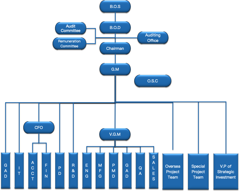 Corporate Governance OEM Gaming Manufacturer